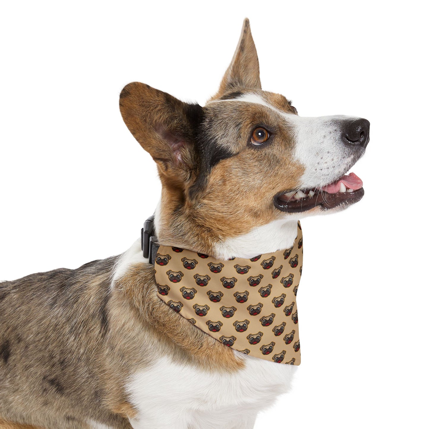 Sidekick Bandana
