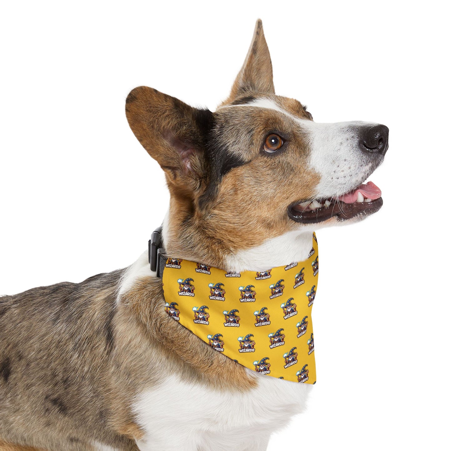 Sidekick Bandana