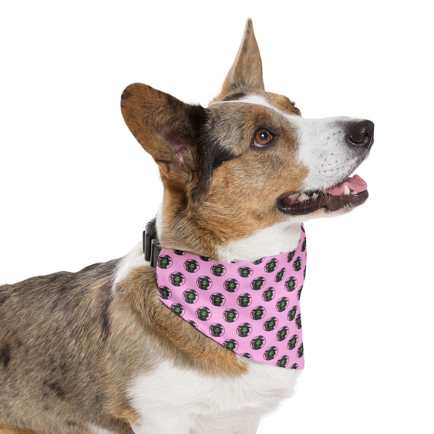 Sidekick Bandana