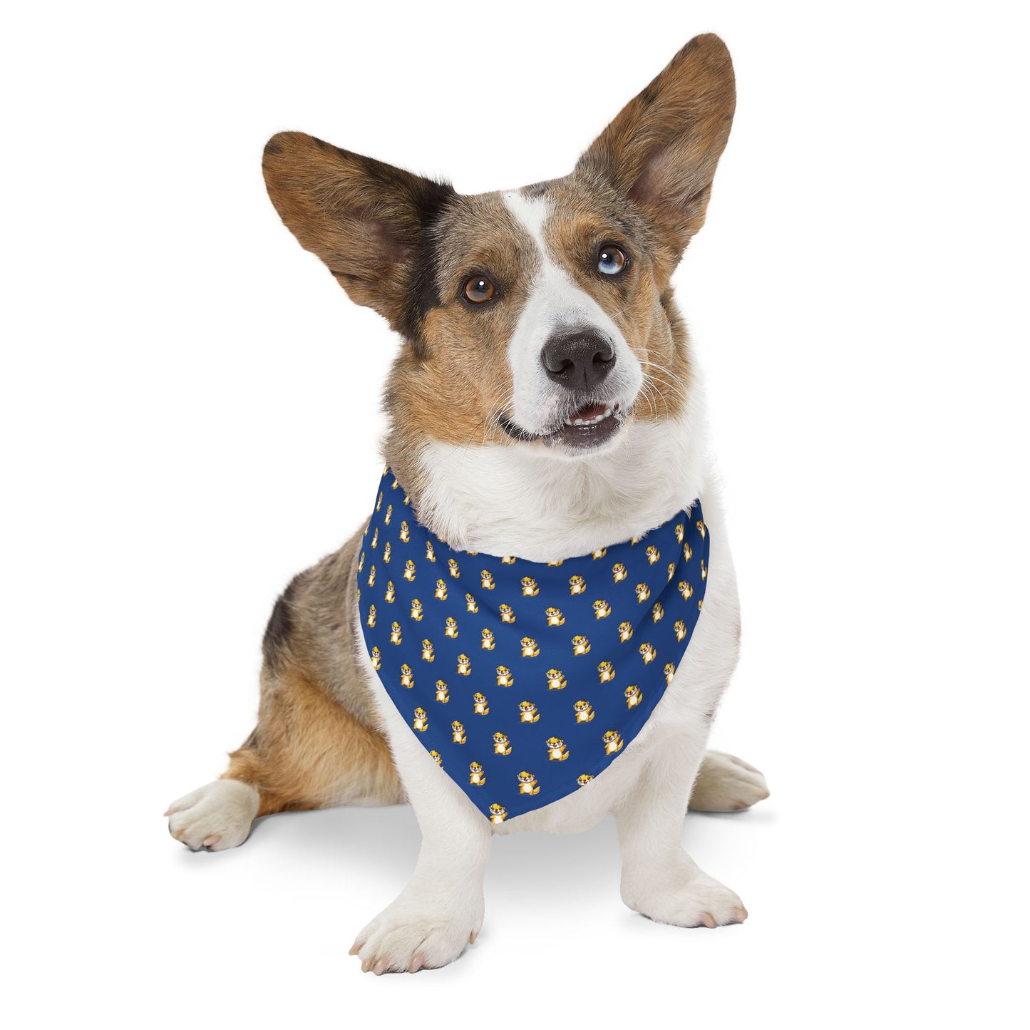 Sidekick Bandana