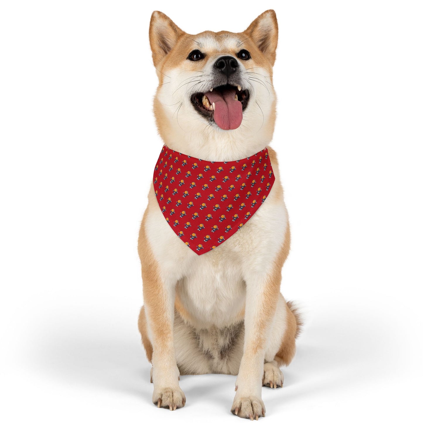 Sidekick Bandana