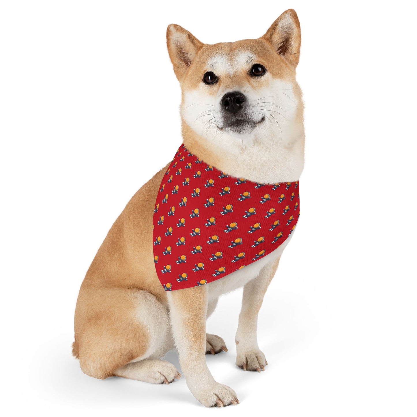 Sidekick Bandana