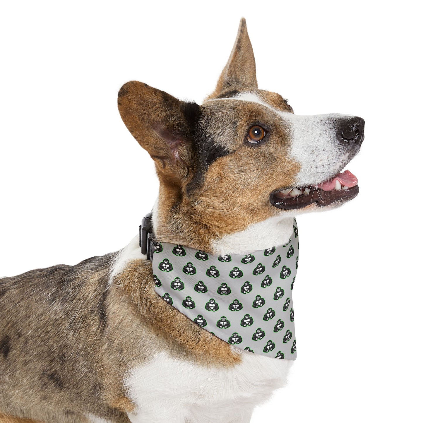 Sidekick Bandana