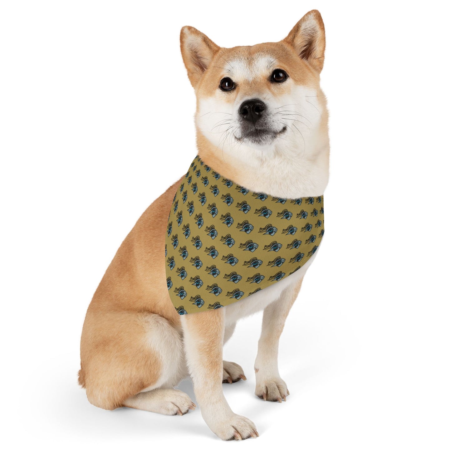 Sidekick Bandana