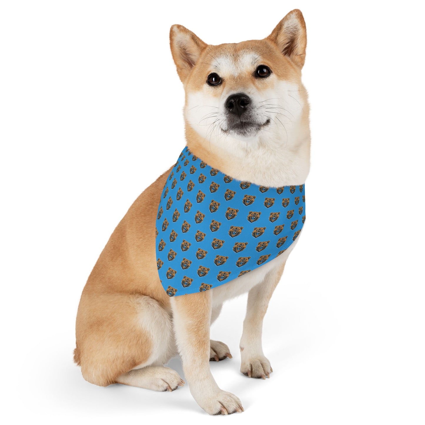 Sidekick Bandana