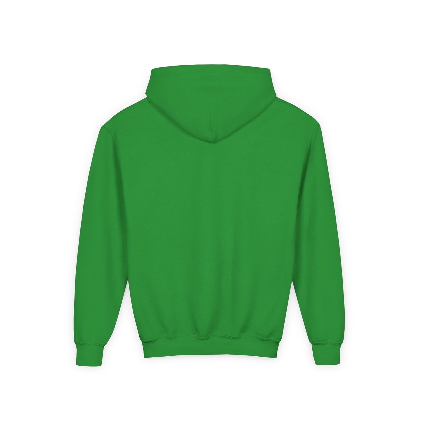 Leprechaun Power Hoodie (Youth)