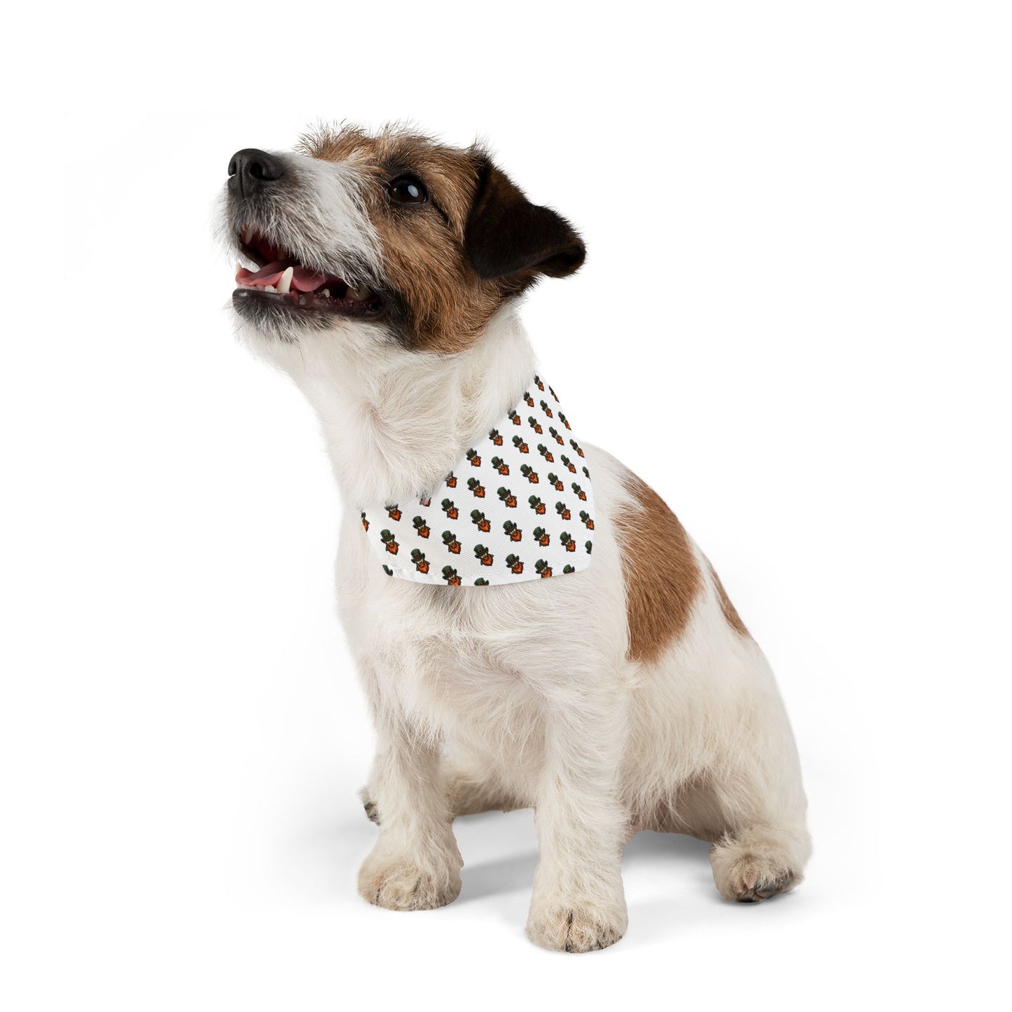 Leprechaun Sidekick Bandana