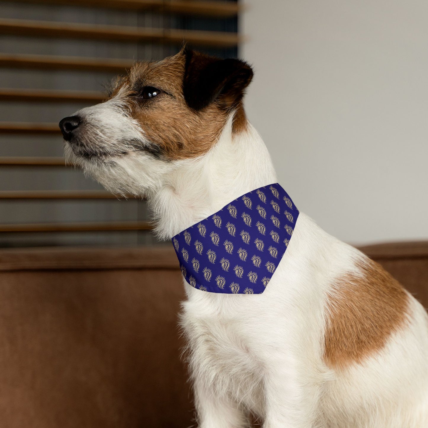 Sidekick Bandana