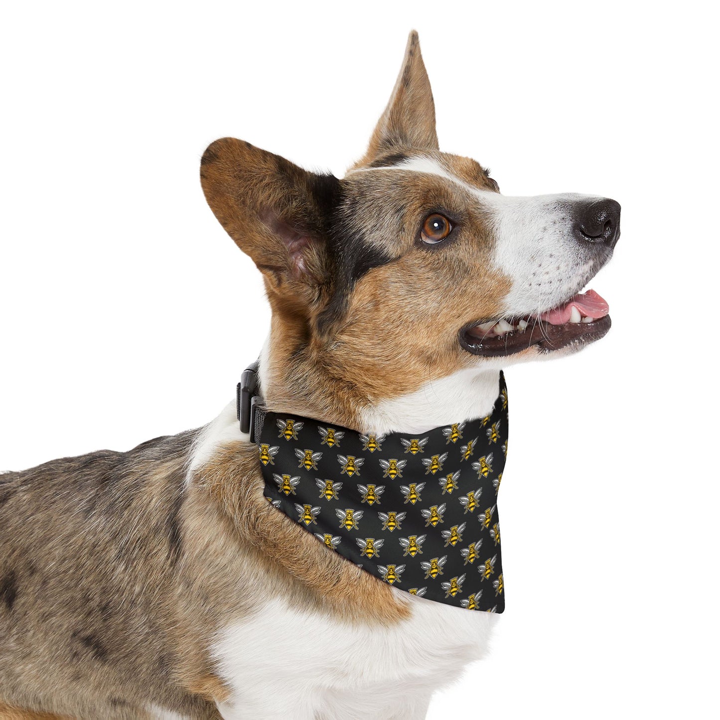 Sidekick Bandana