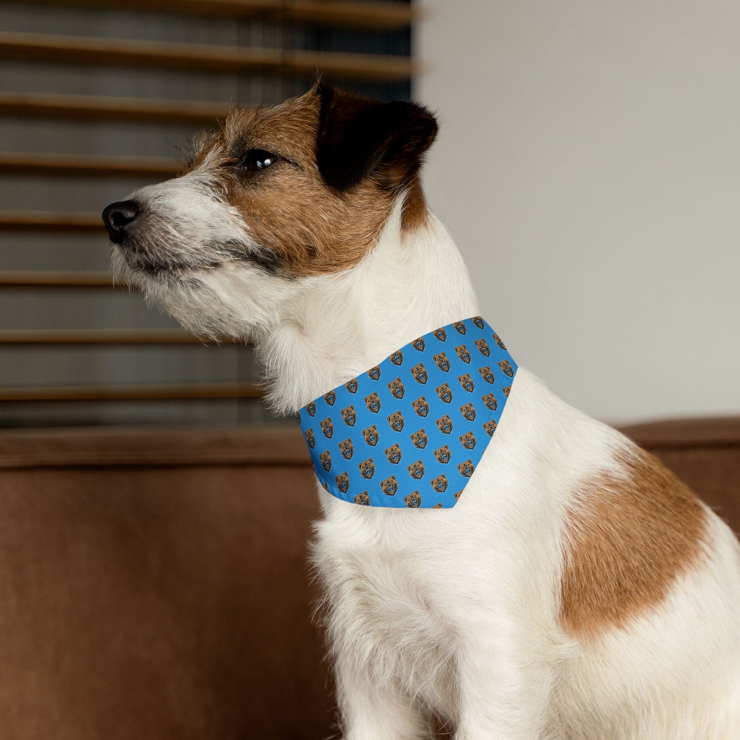 Sidekick Bandana