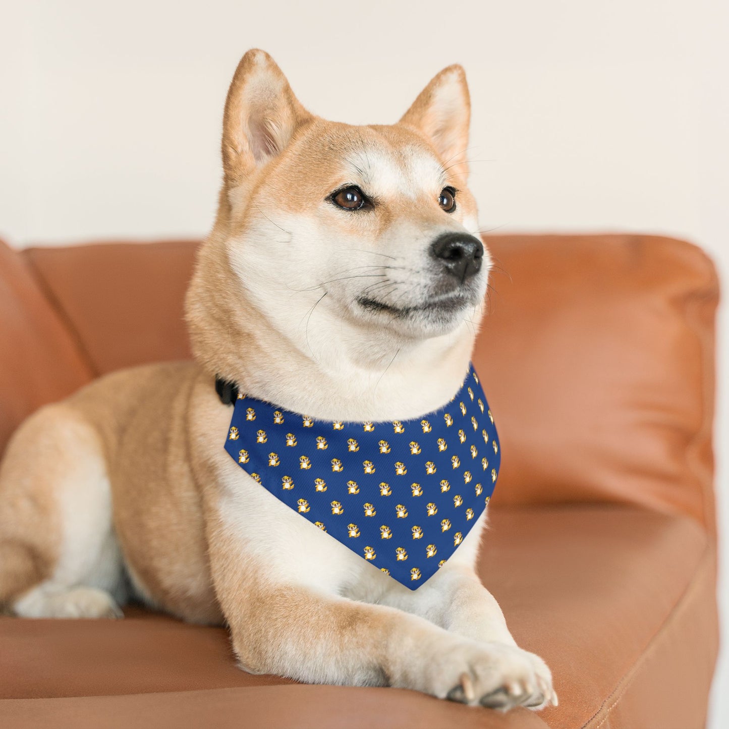 Sidekick Bandana