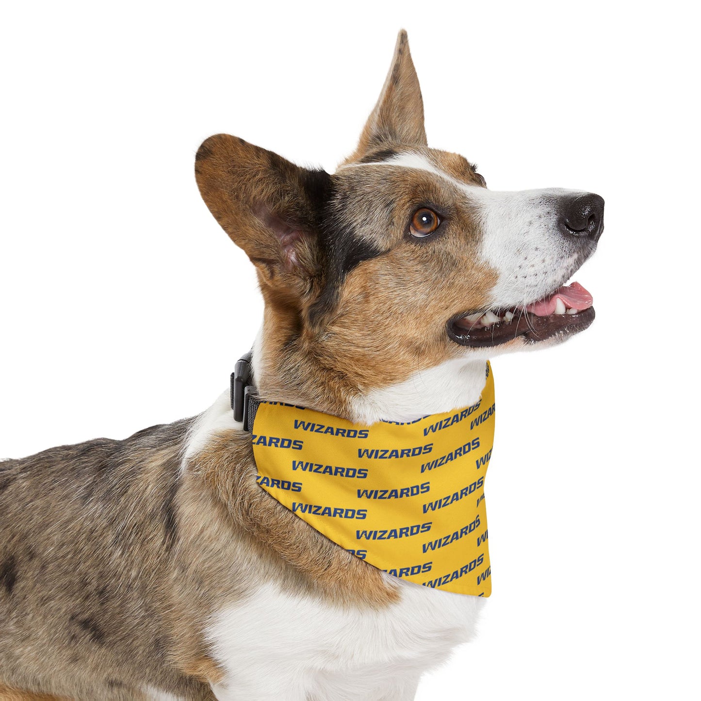 Wizards Sidekick Bandana