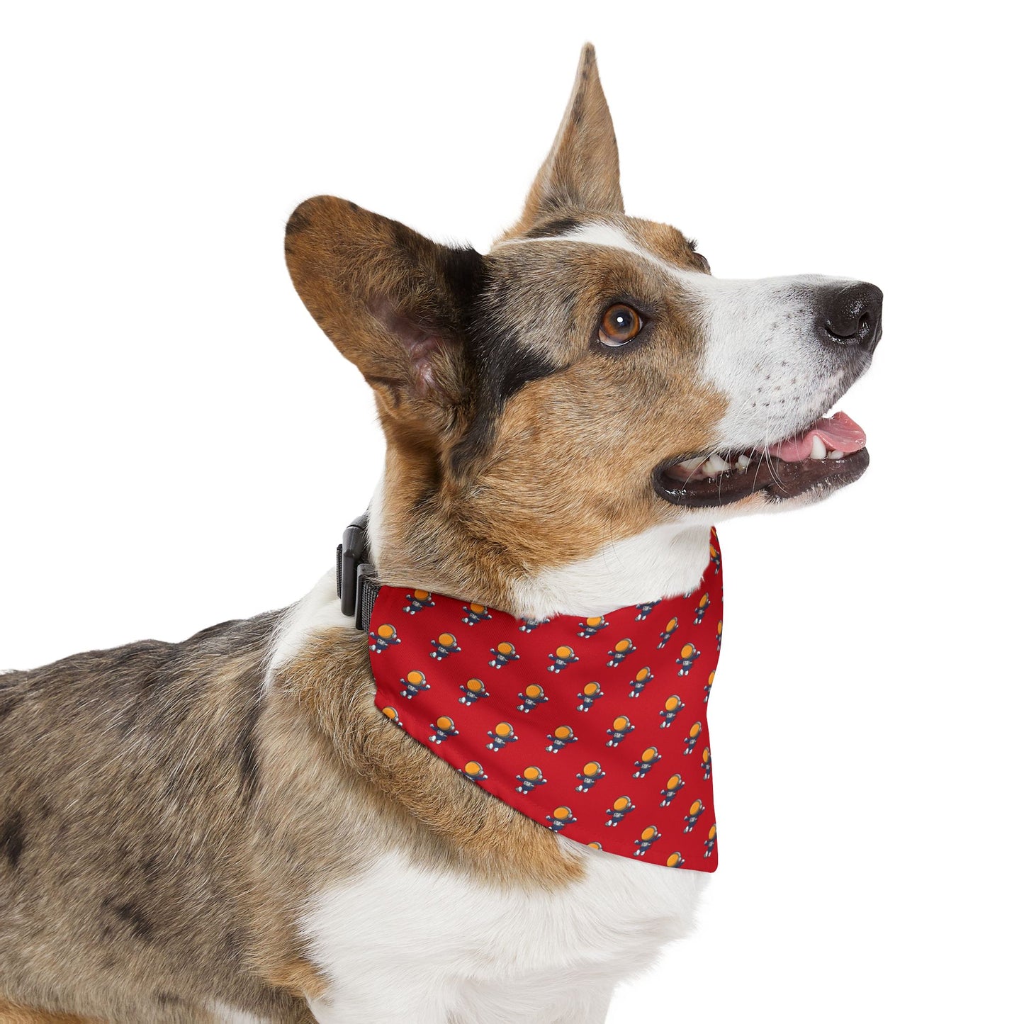 Sidekick Bandana