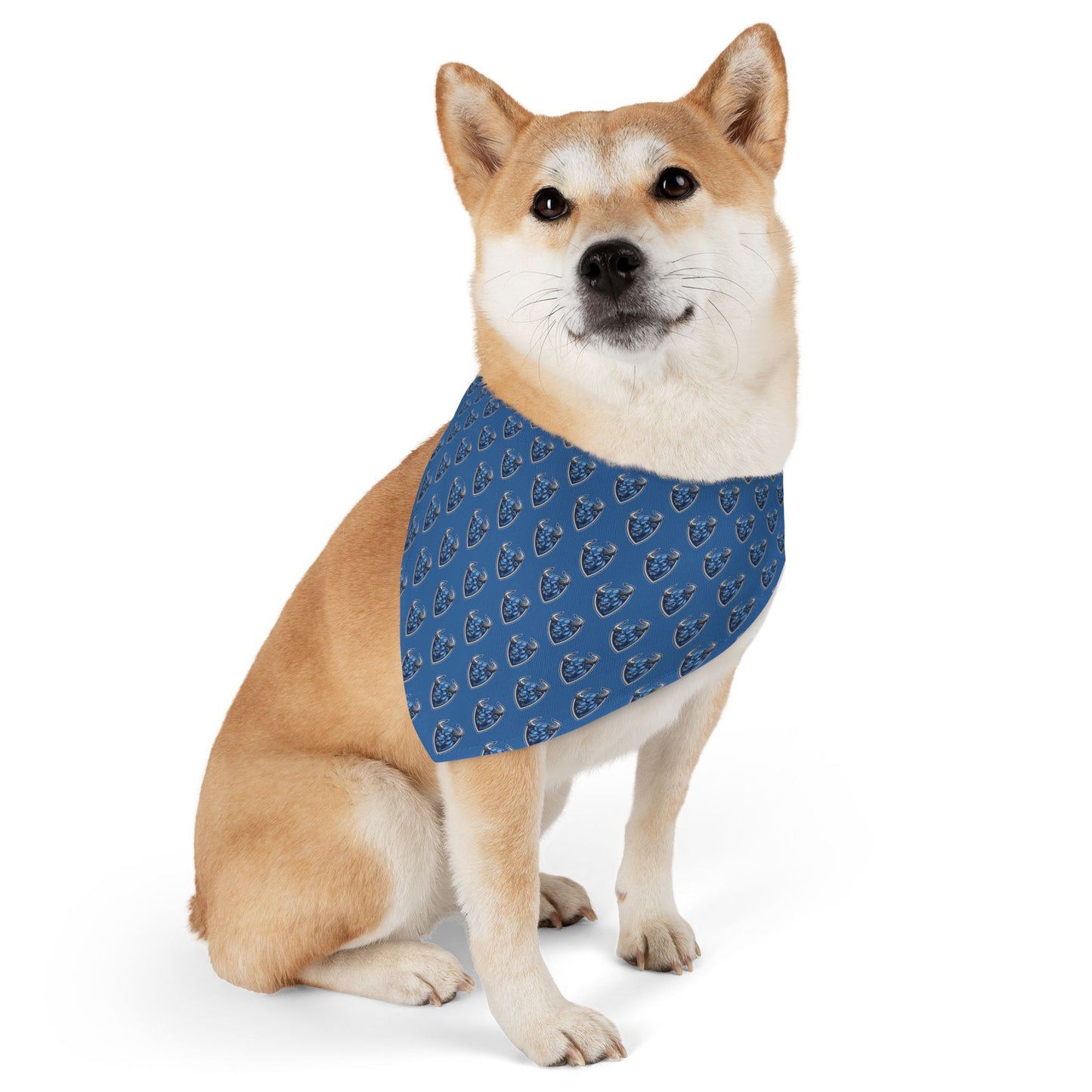 Stampede Sidekick Bandana