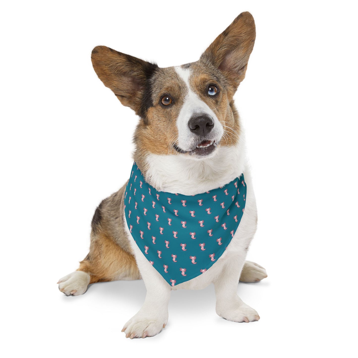 Sidekick Bandana