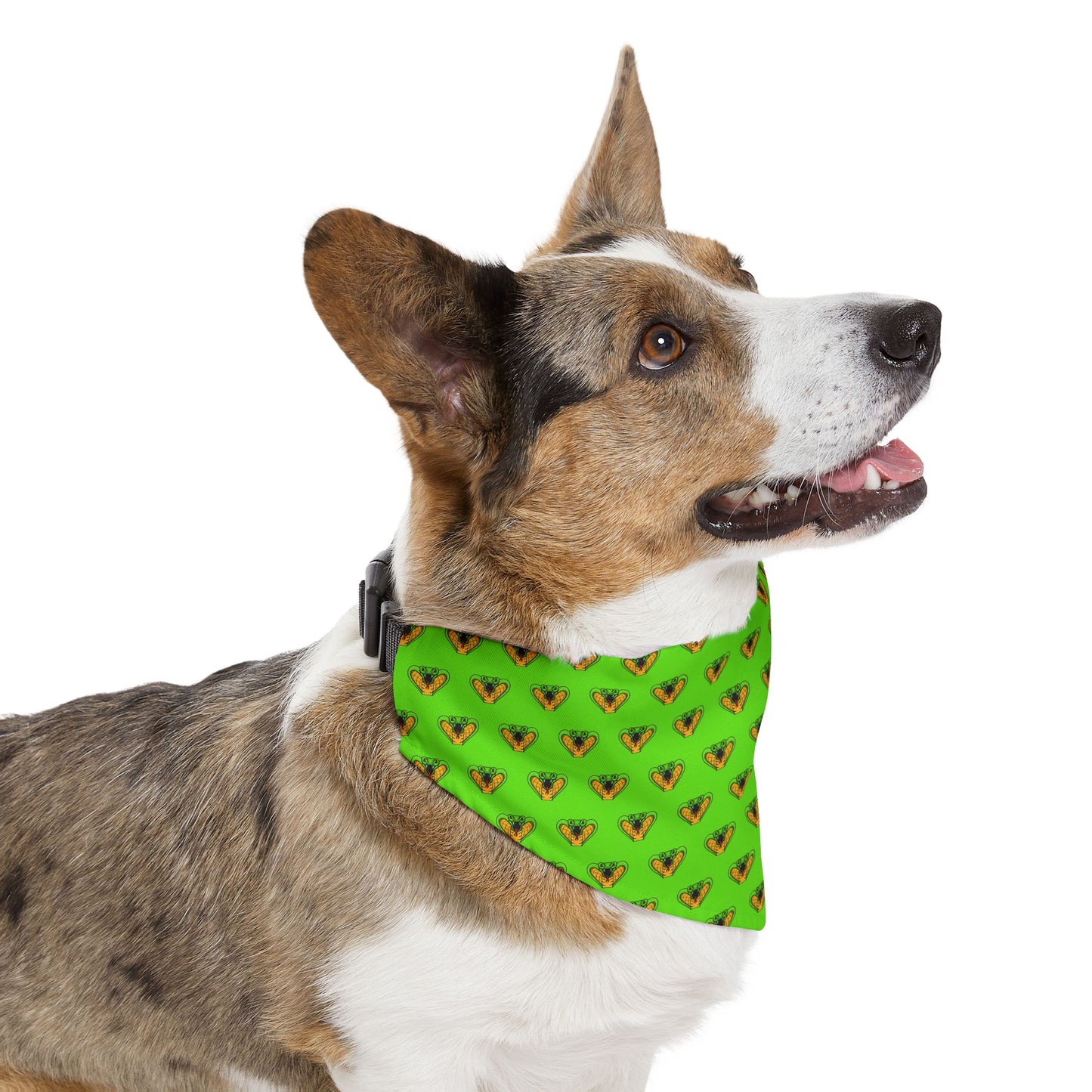 Sidekick Bandana