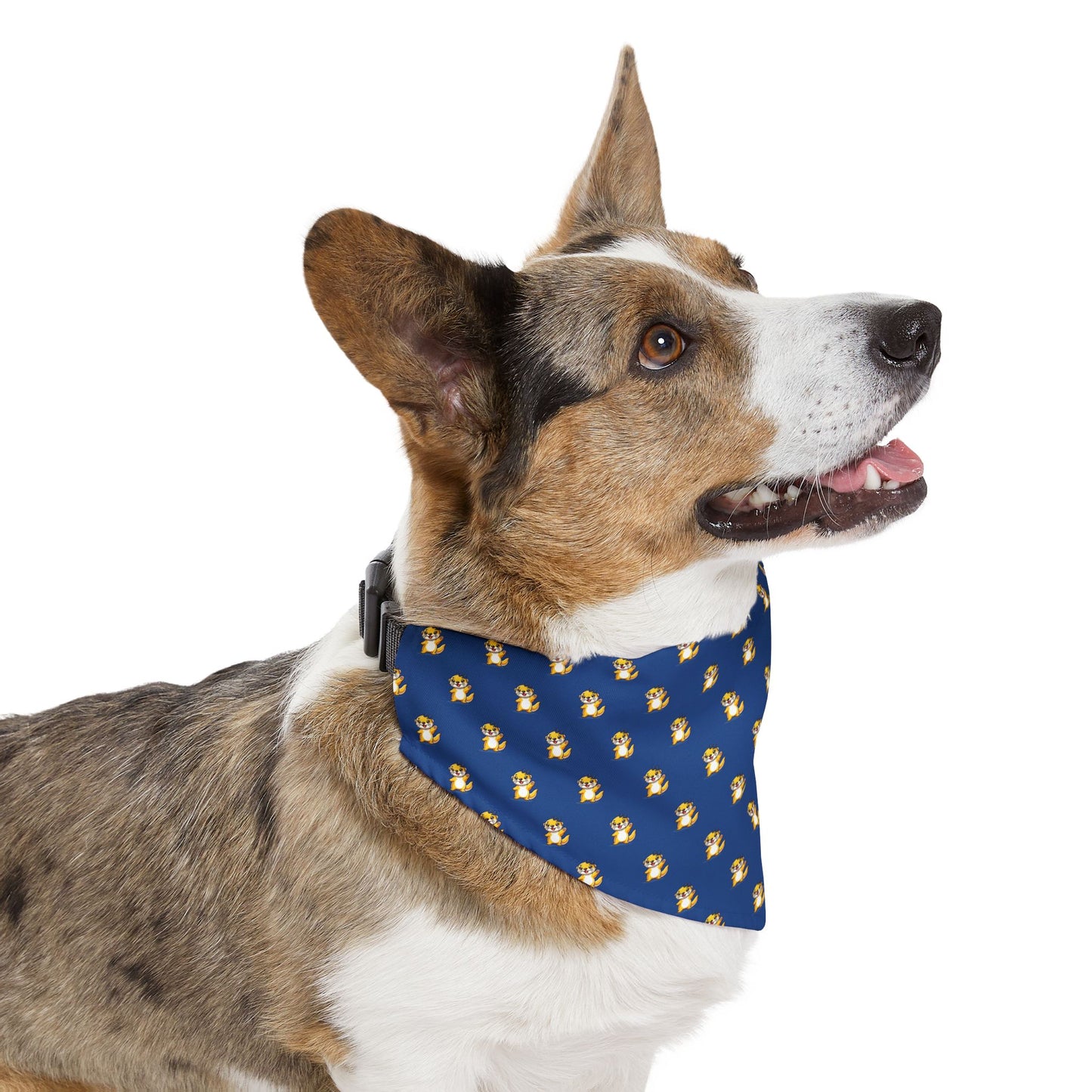 Sidekick Bandana