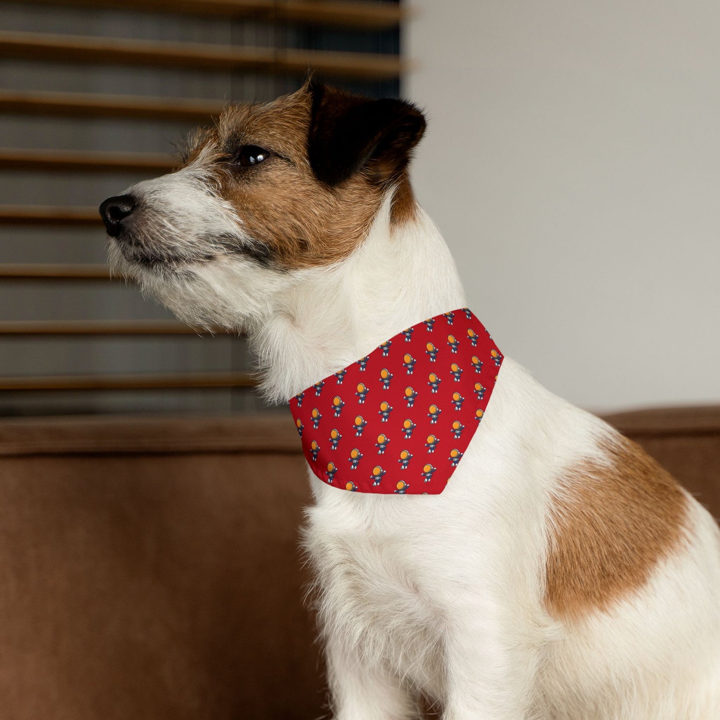 Sidekick Bandana