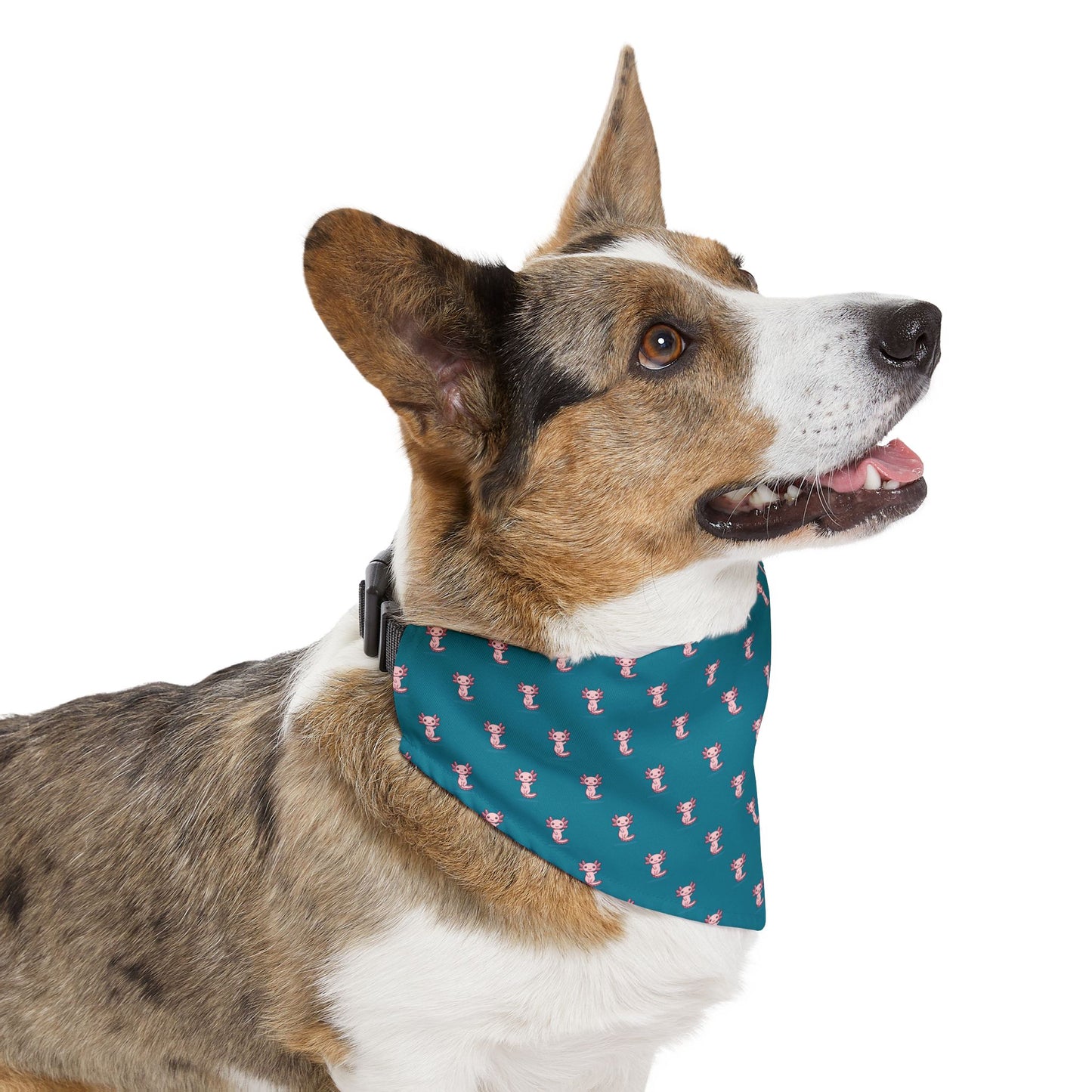 Sidekick Bandana