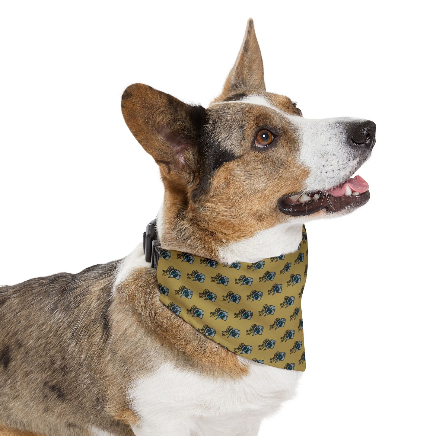 Sidekick Bandana