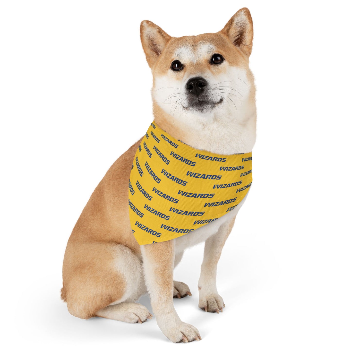 Wizards Sidekick Bandana