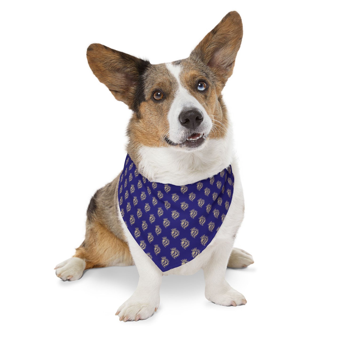 Sidekick Bandana