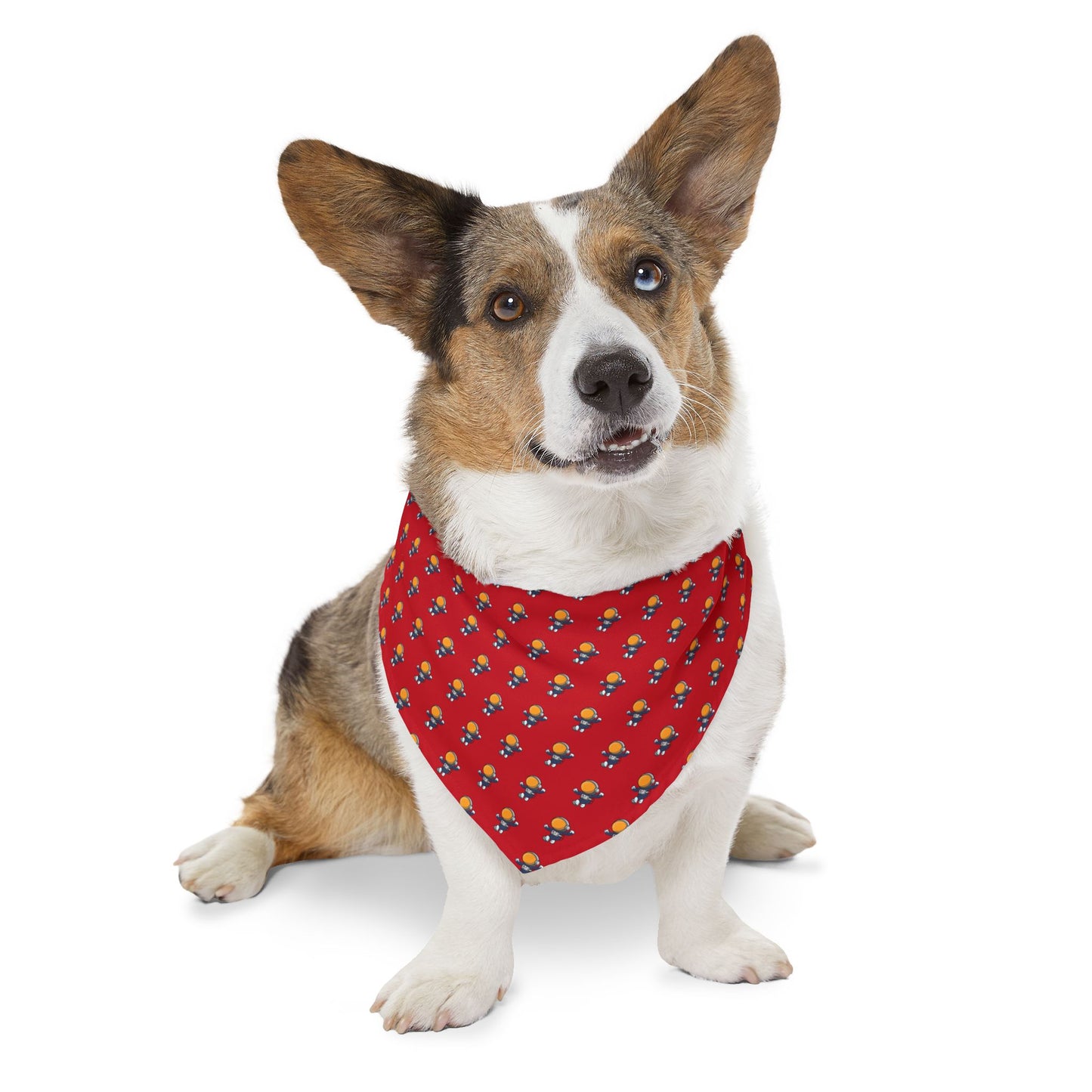 Sidekick Bandana