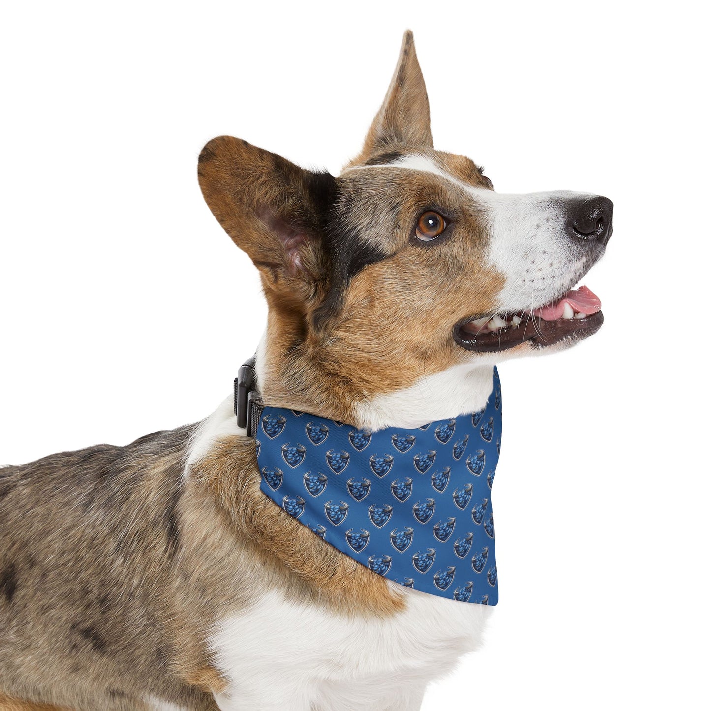 Stampede Sidekick Bandana