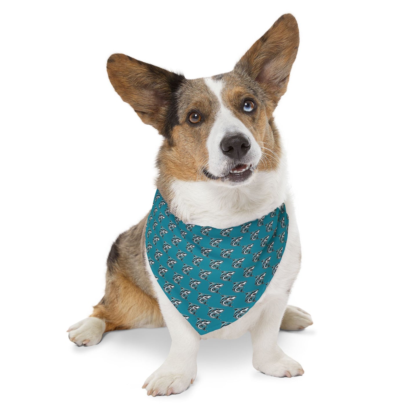 Sidekick Bandana