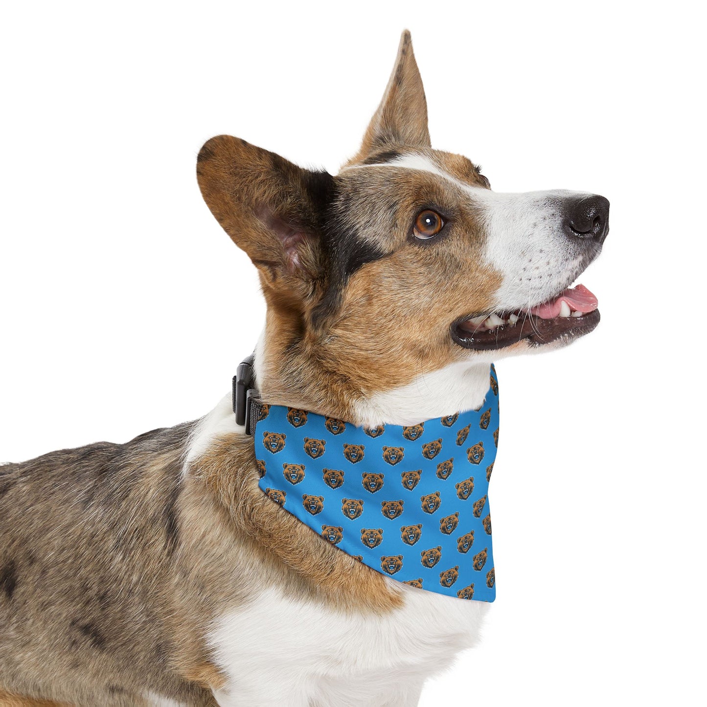 Sidekick Bandana