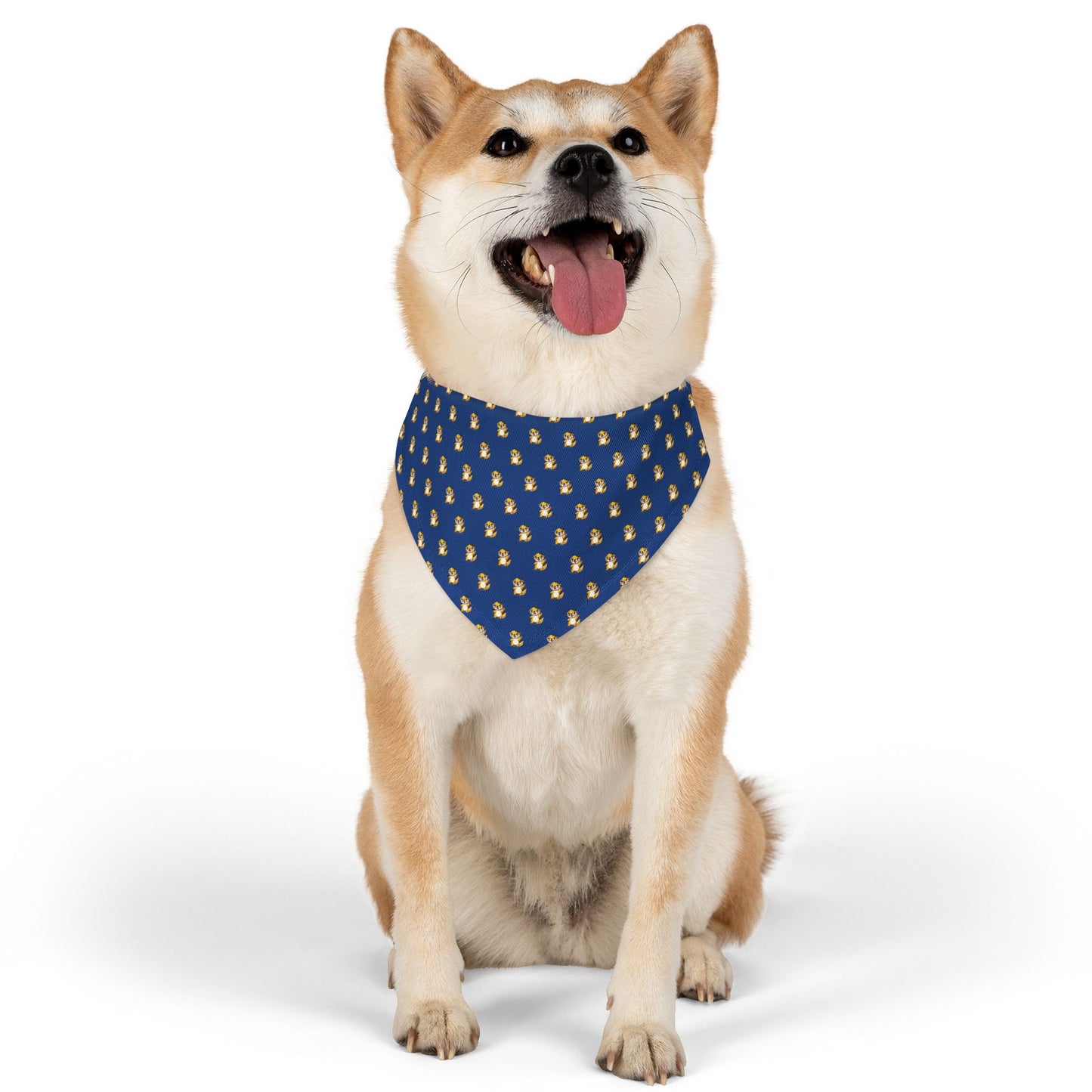 Sidekick Bandana