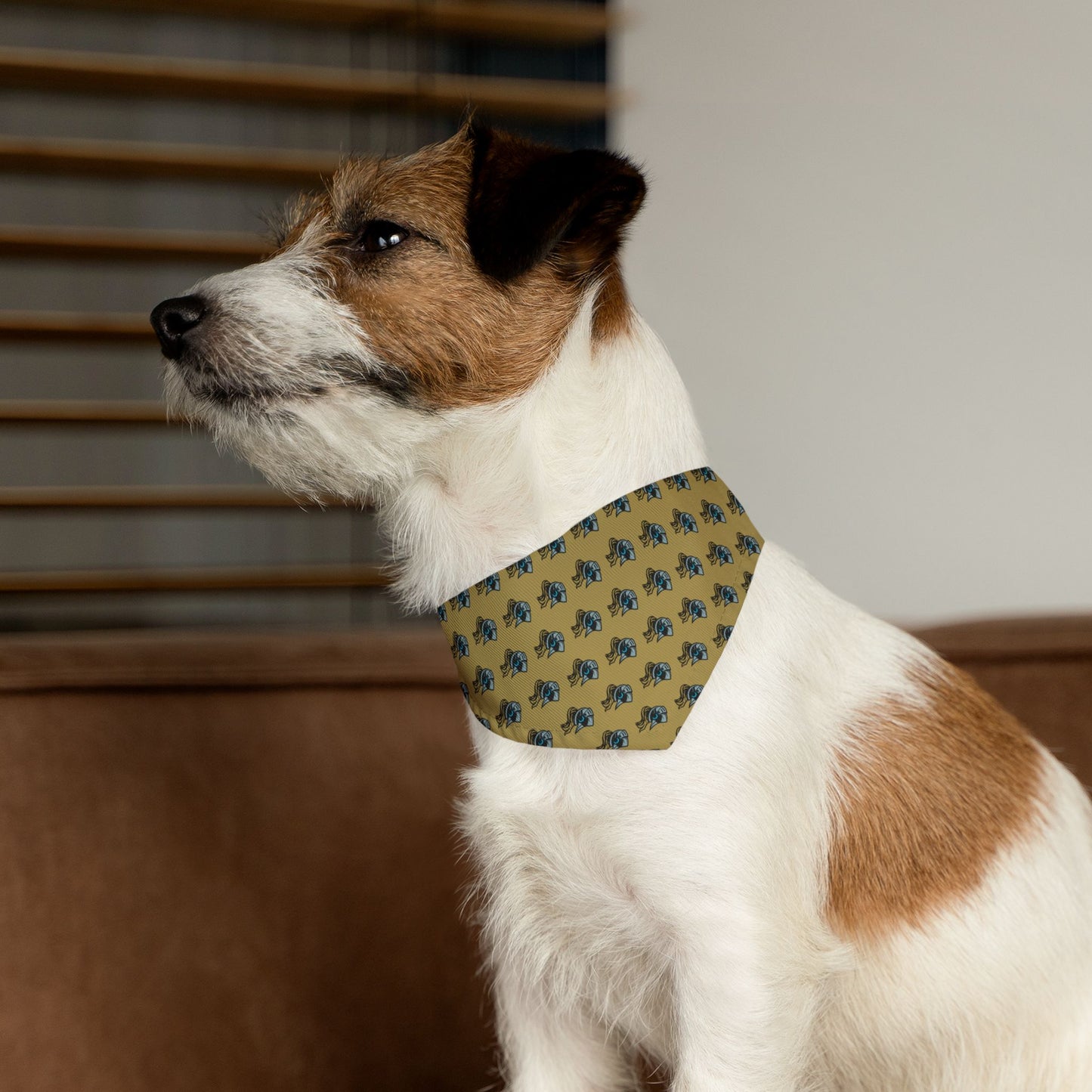 Sidekick Bandana