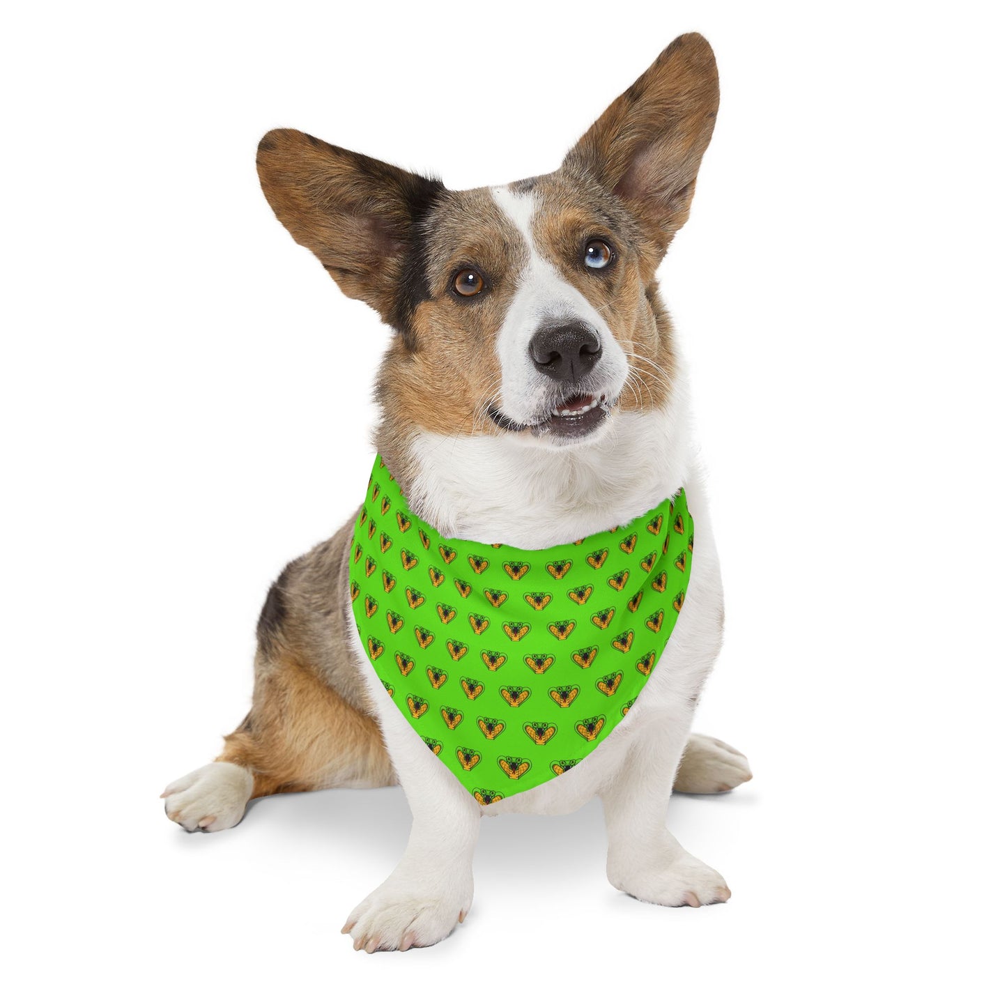 Sidekick Bandana