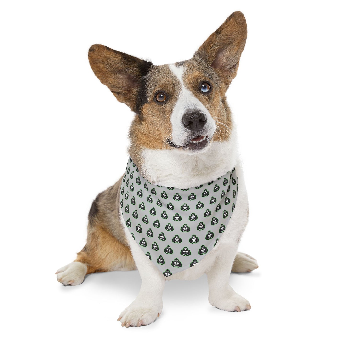Sidekick Bandana