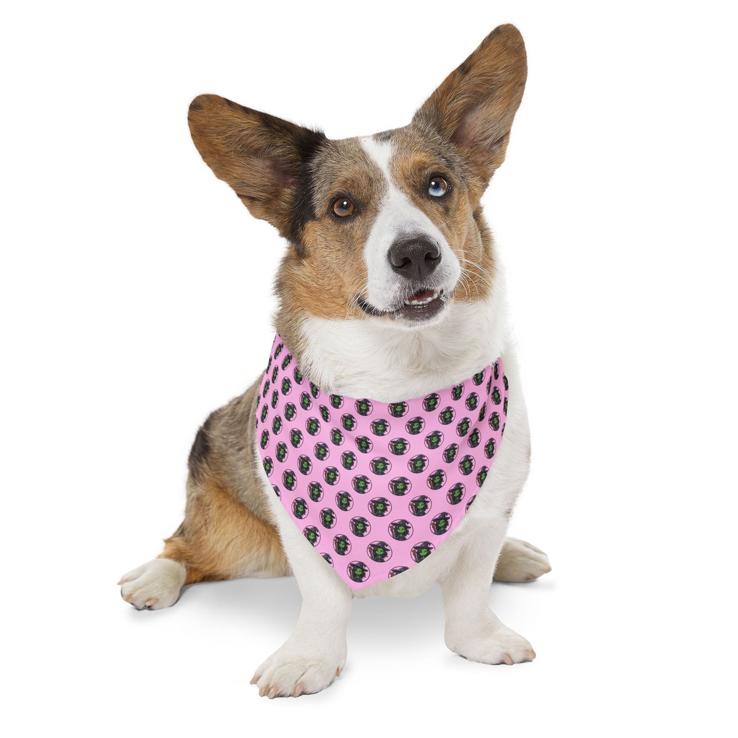 Sidekick Bandana