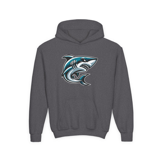 Power Hoodie (Youth)