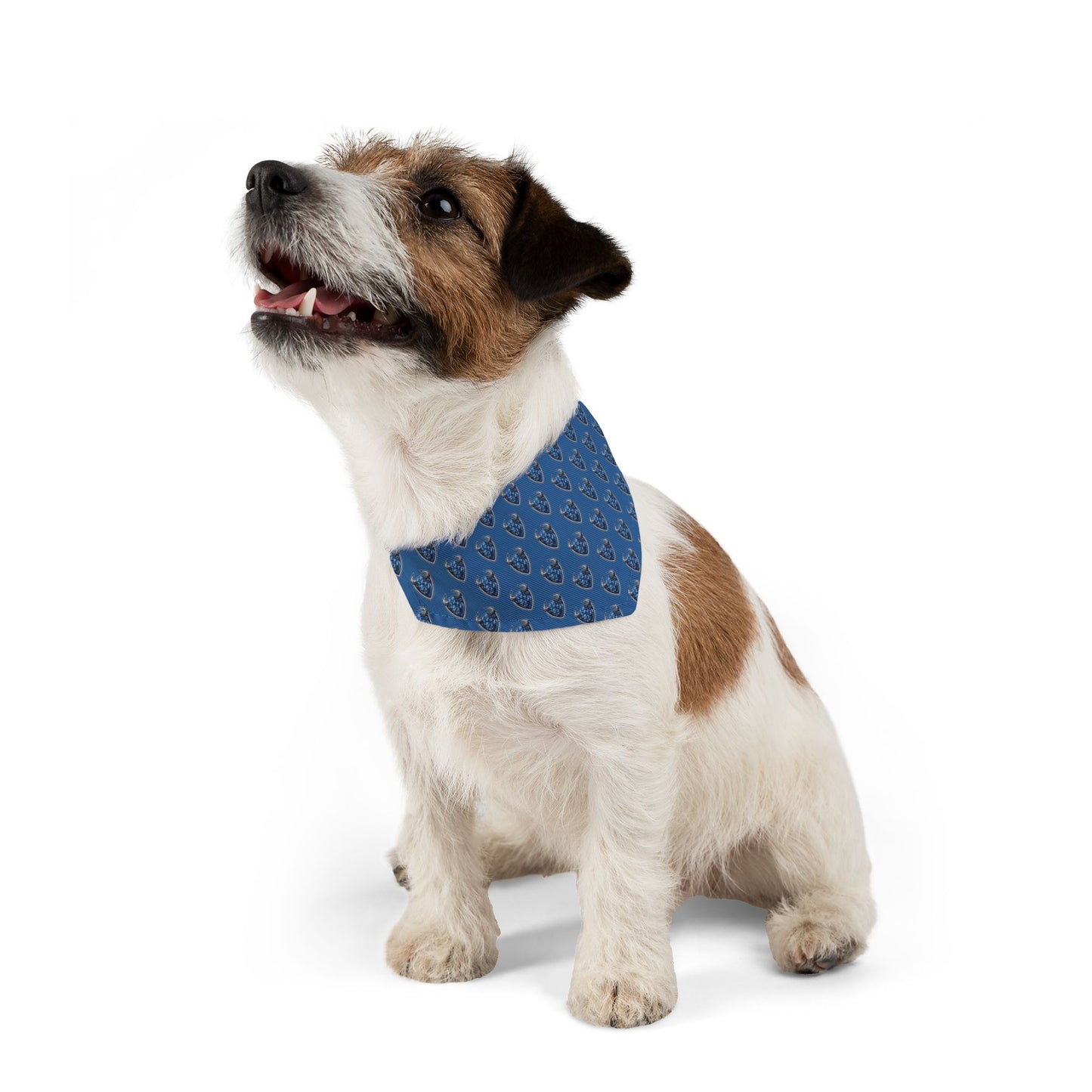 Stampede Sidekick Bandana