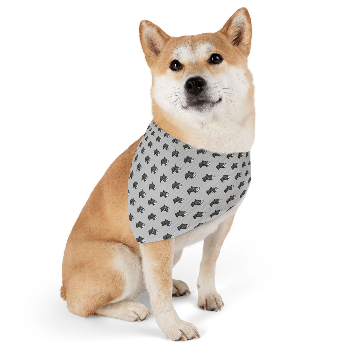 Sidekick Bandana