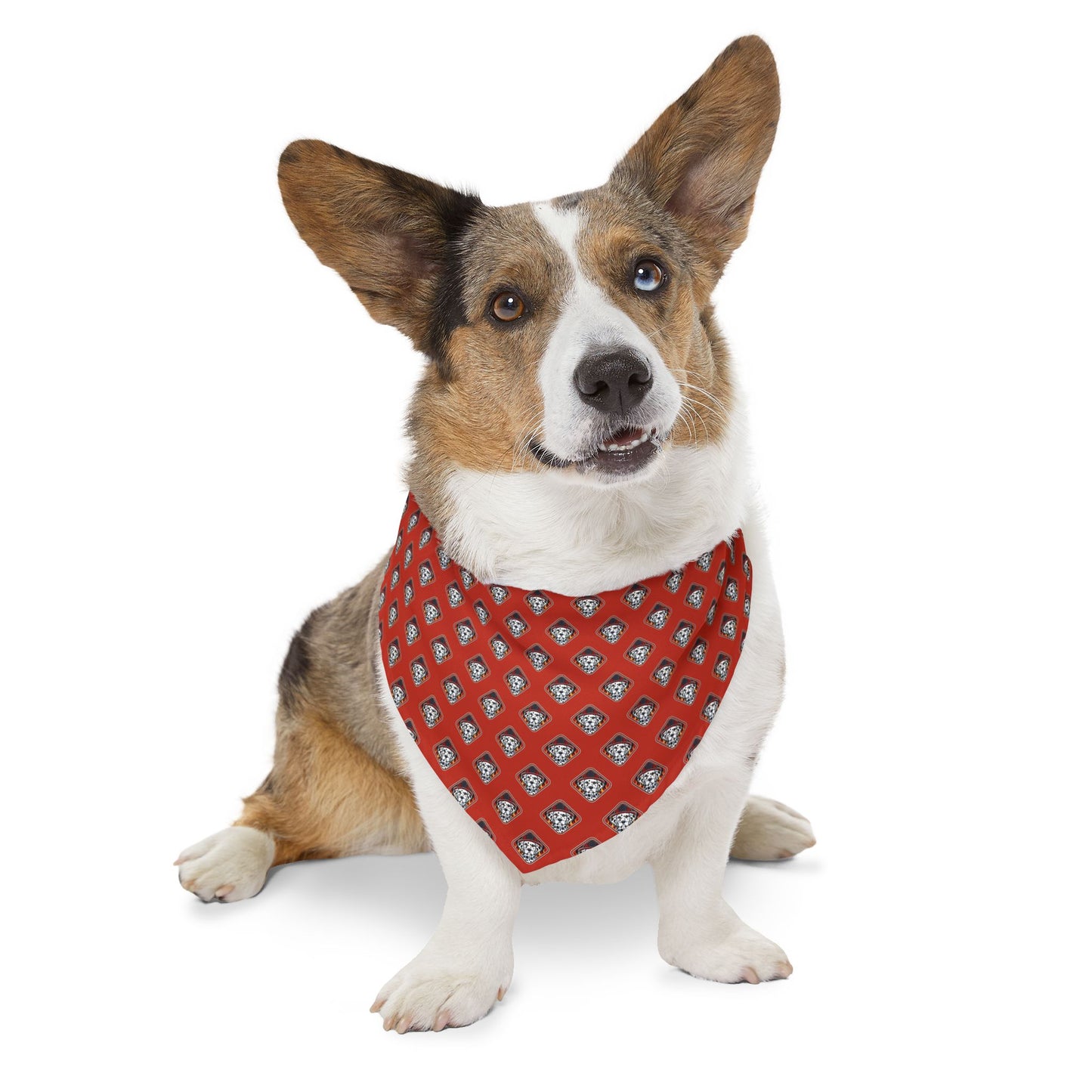 Sidekick Bandana