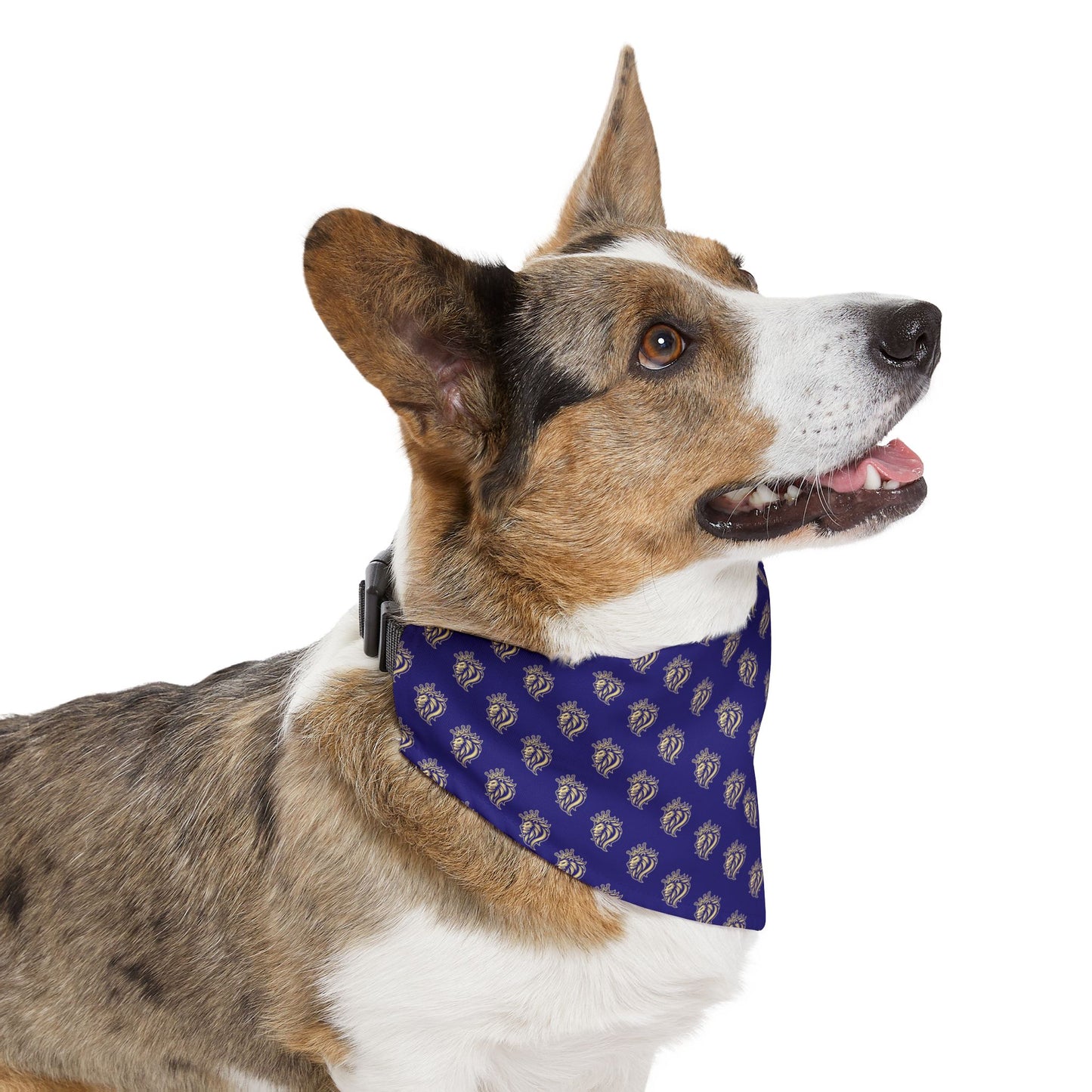 Sidekick Bandana