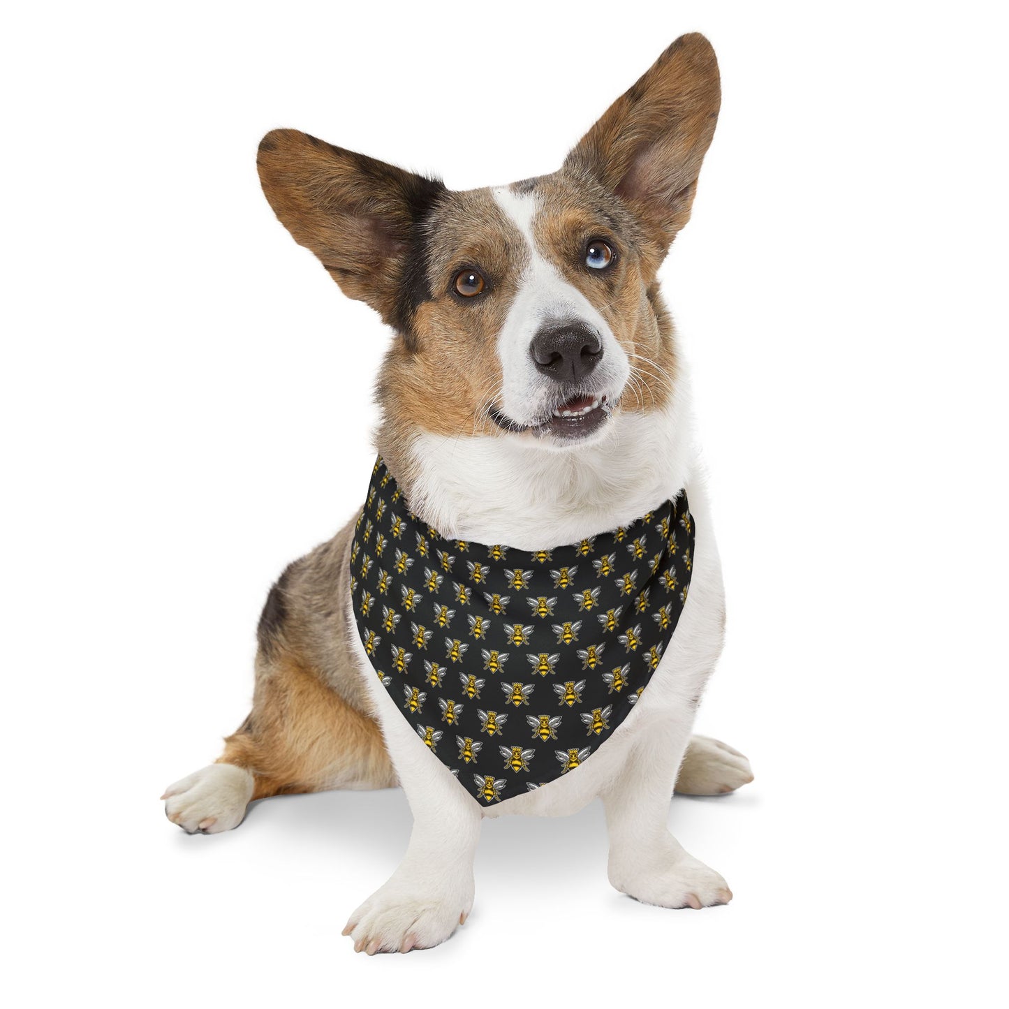 Sidekick Bandana