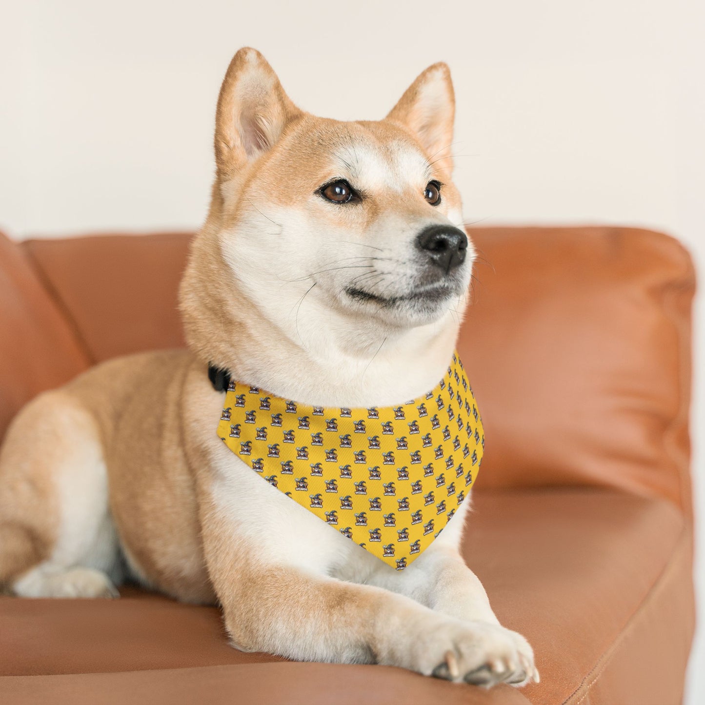 Wizards Baseball Sidekick Bandana