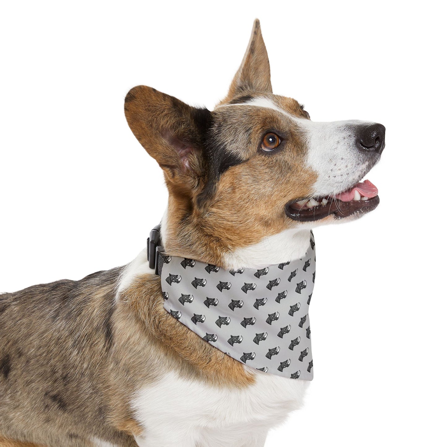 Sidekick Bandana