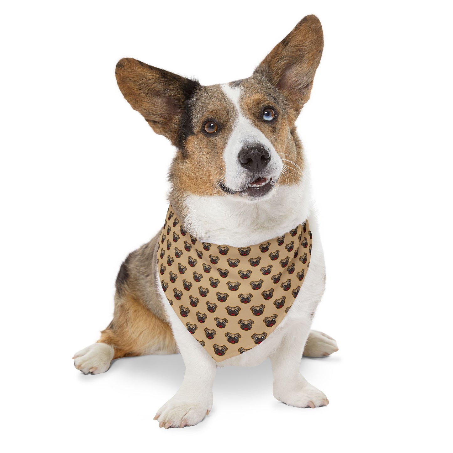 Sidekick Bandana