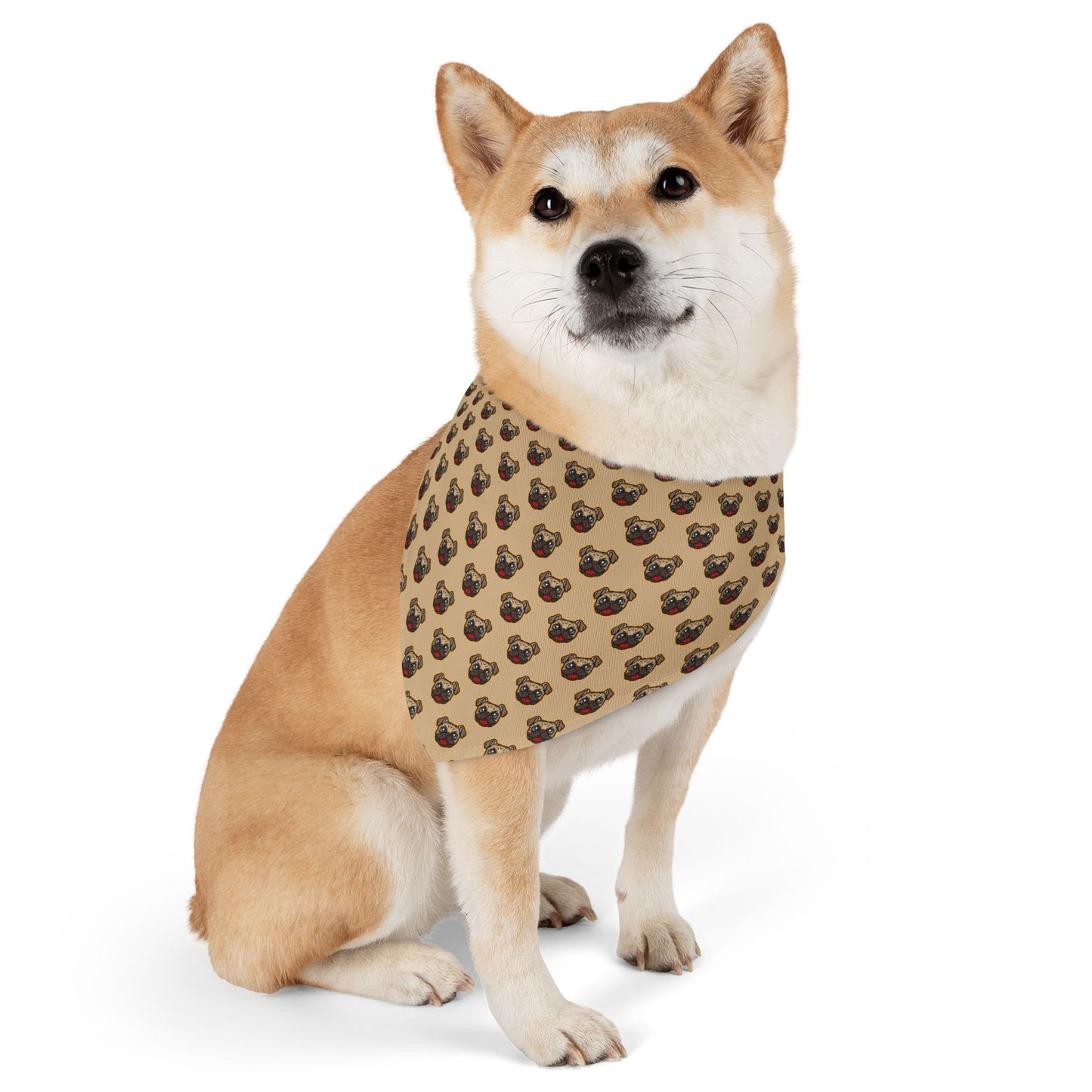 Sidekick Bandana