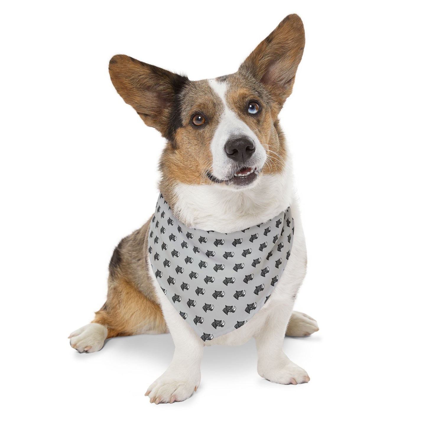 Sidekick Bandana