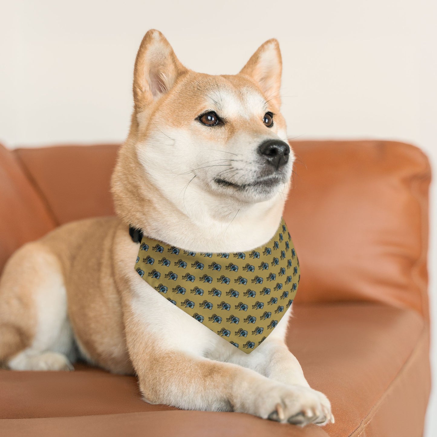 Sidekick Bandana