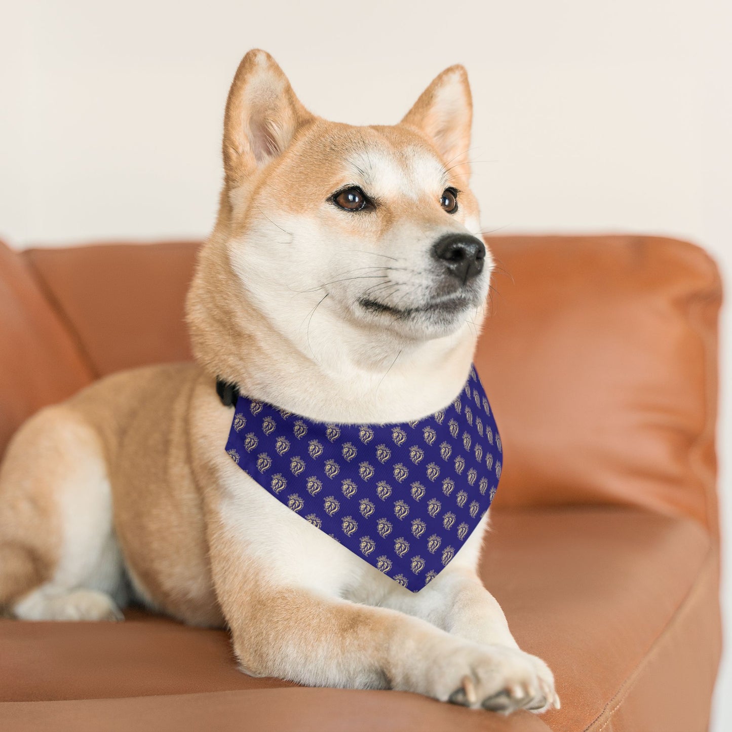 Sidekick Bandana