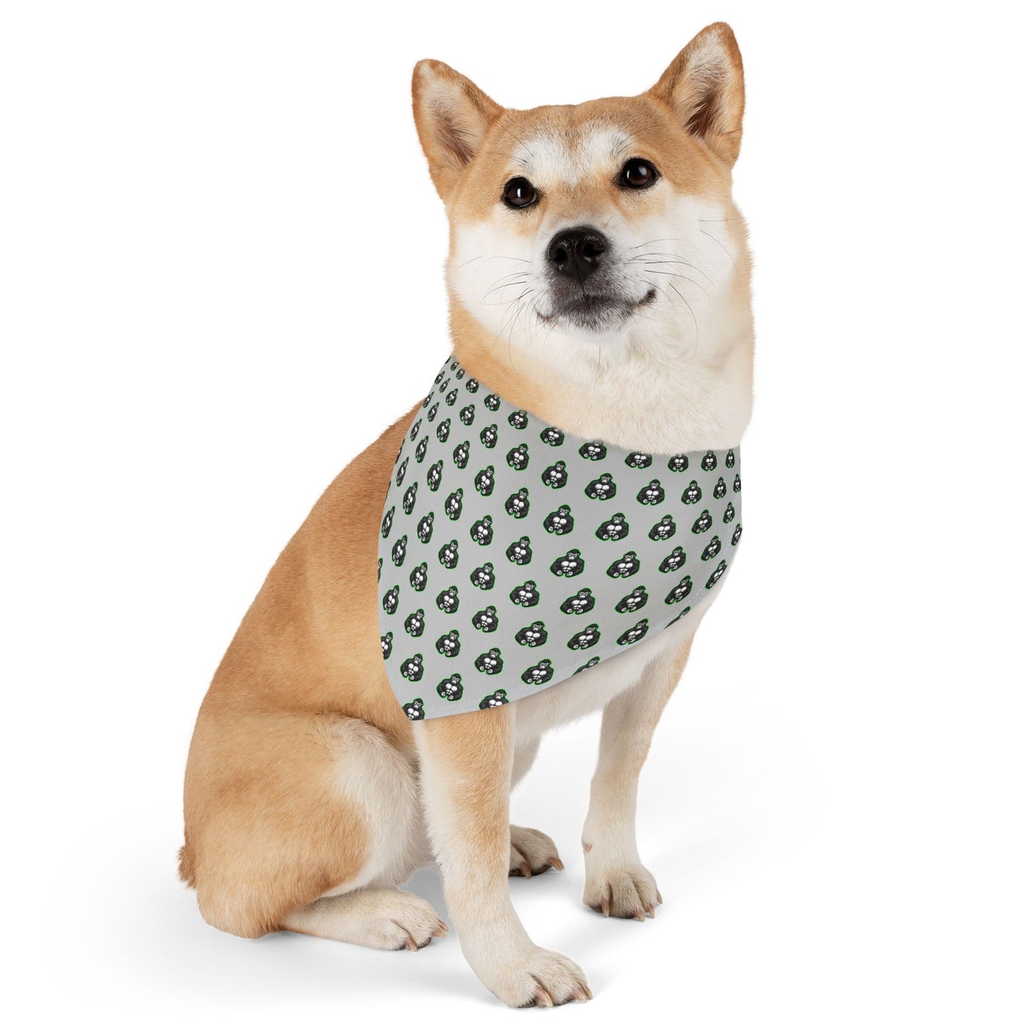 Sidekick Bandana