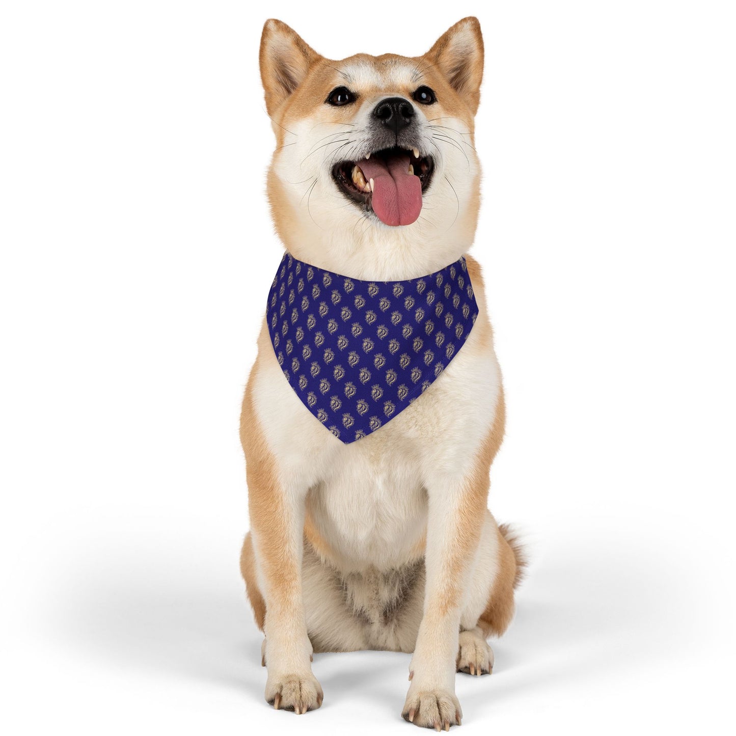 Sidekick Bandana